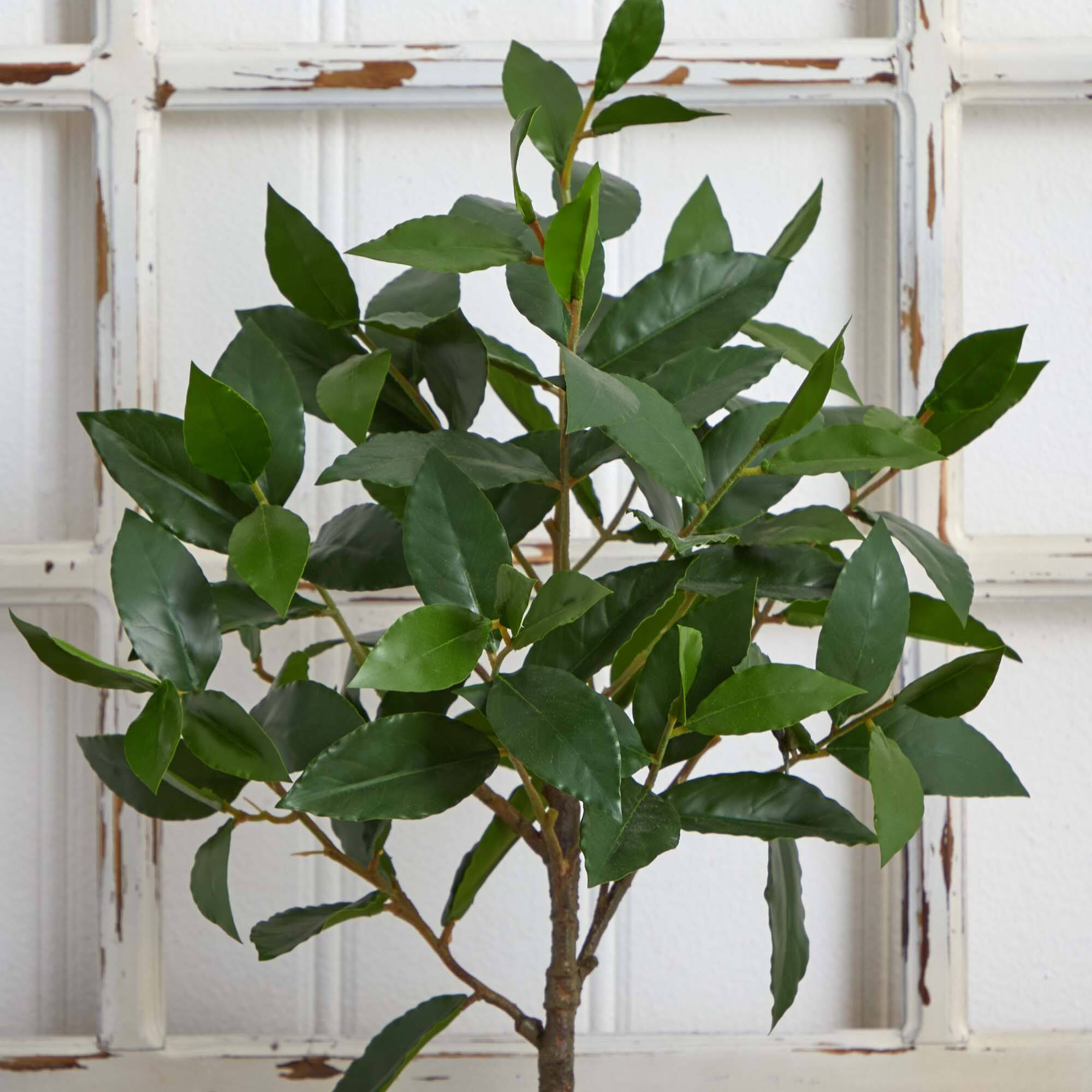 2.5ft. Topiary in Decorative Planter